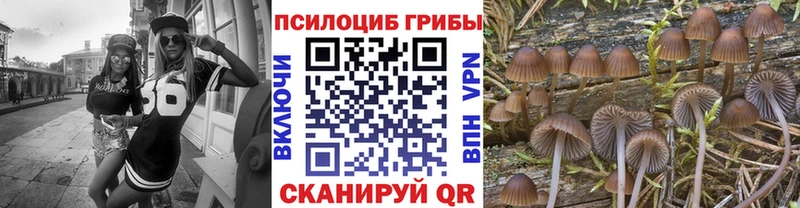 как найти   Алексин  Галлюциногенные грибы мухоморы 
